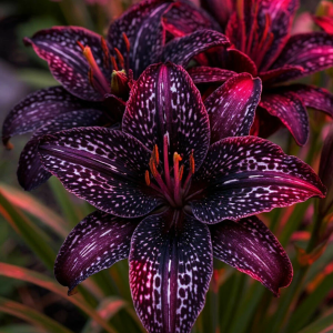 Лилейник Вояж купить по цене от 699р. в интернет-магазине «Посадика» с доставкой почтой в в Семикаракорске и по всей России – [изображение №1].